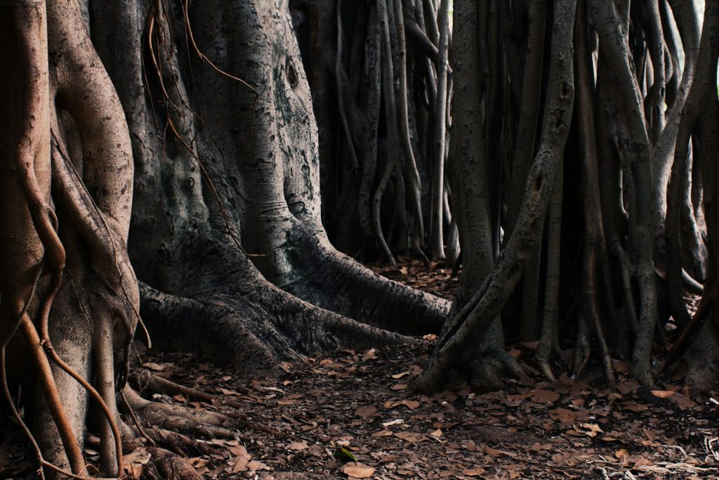 Coming out of dark with outpatient addiction treatment