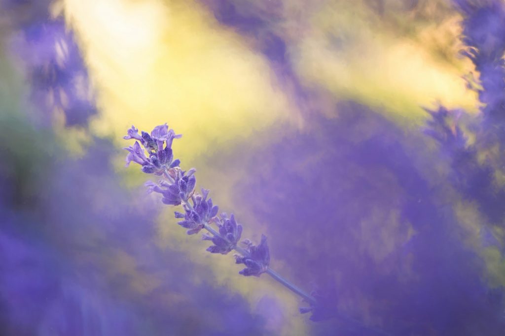 experiencing nature after Xanax Addiction Treatment
